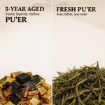 Five Elements Herbal Tea Blend | Traditional Wellness Tea Collection
